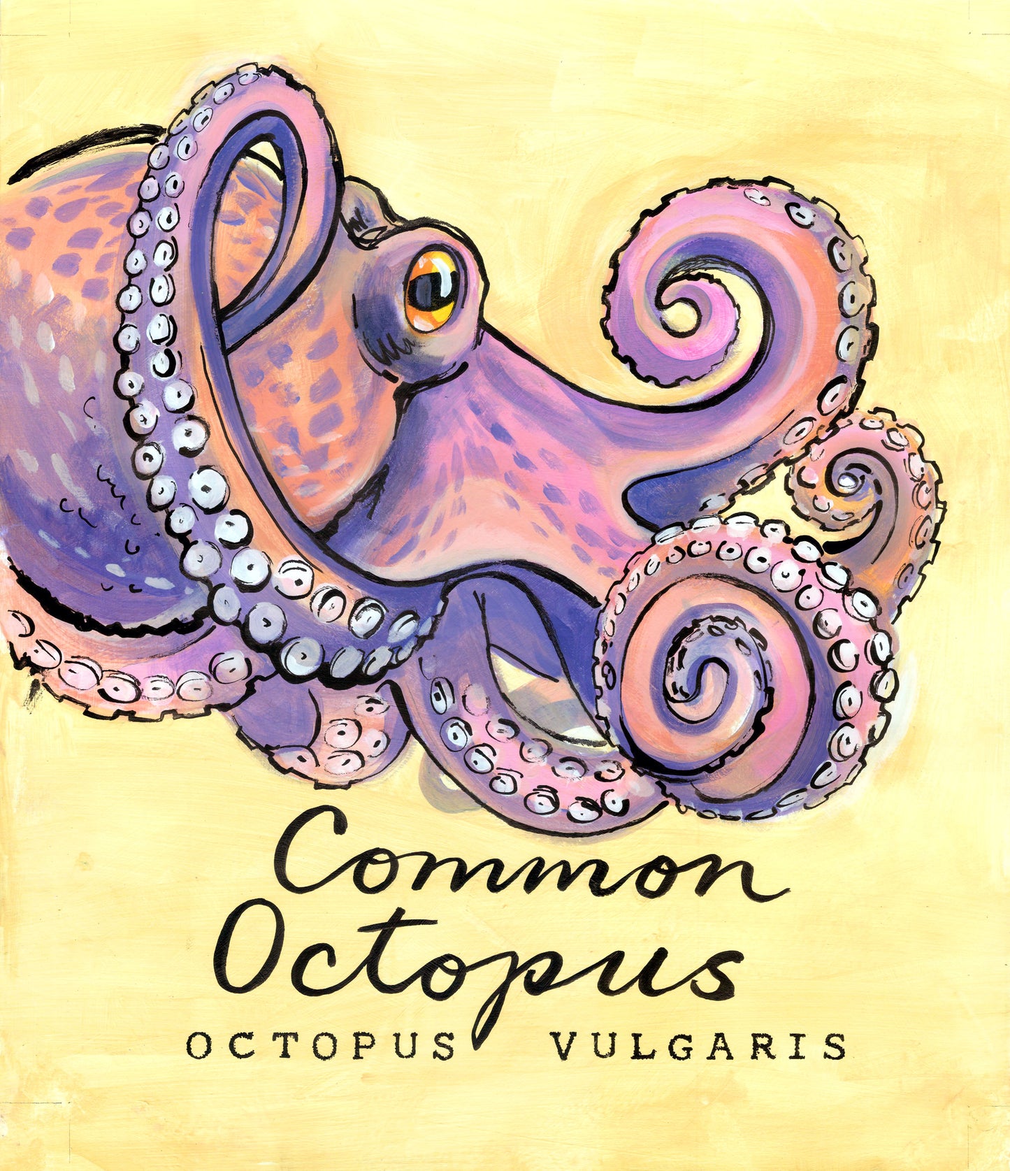Common Octopus Promenade Flag - Cornish Sea Life Series - Giclée Print