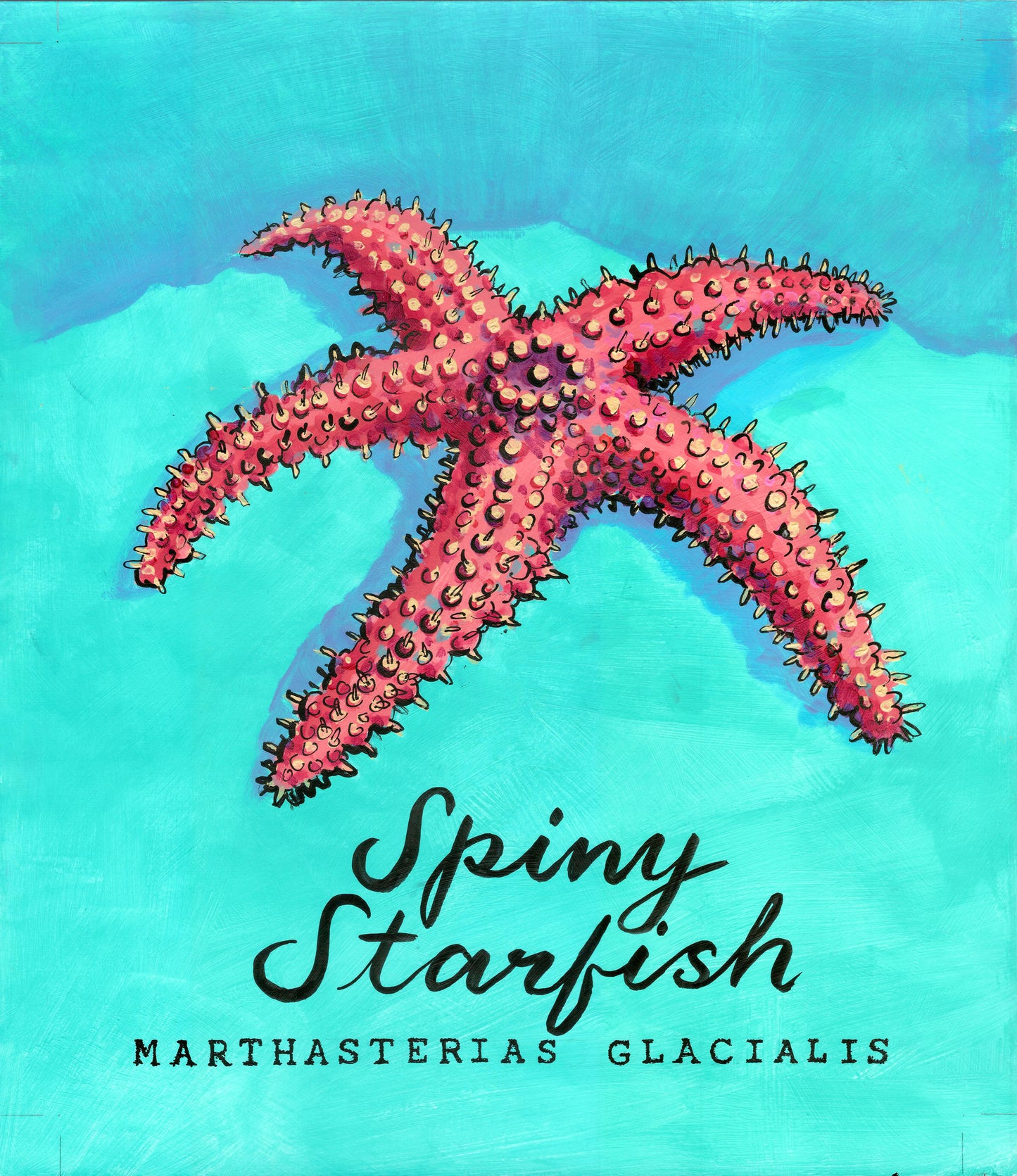 Spiny Starfish Promenade Flag - Cornish Sea Life Series - Giclée Print