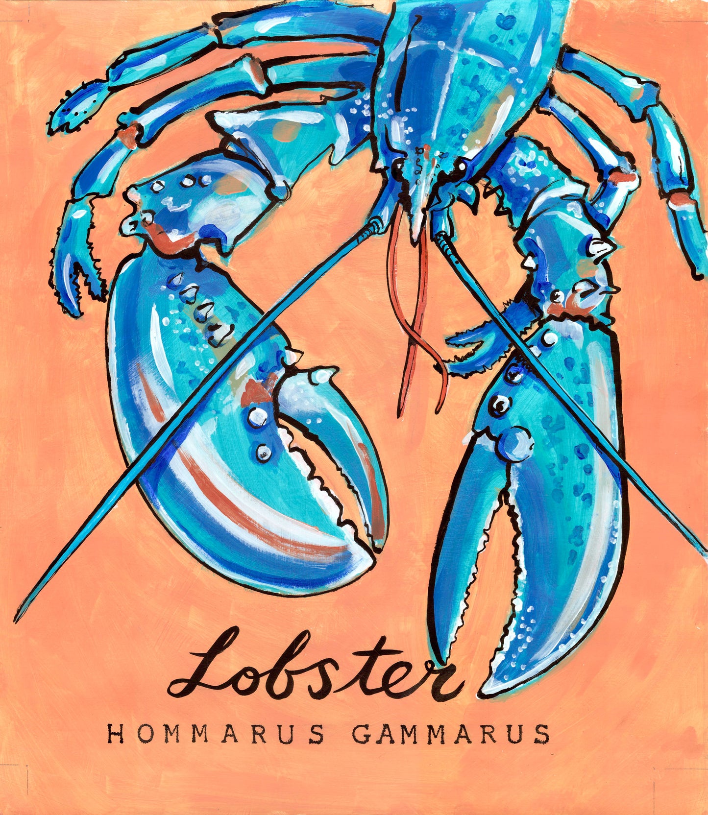 Cornish Sea Life Coaster (18 designs)