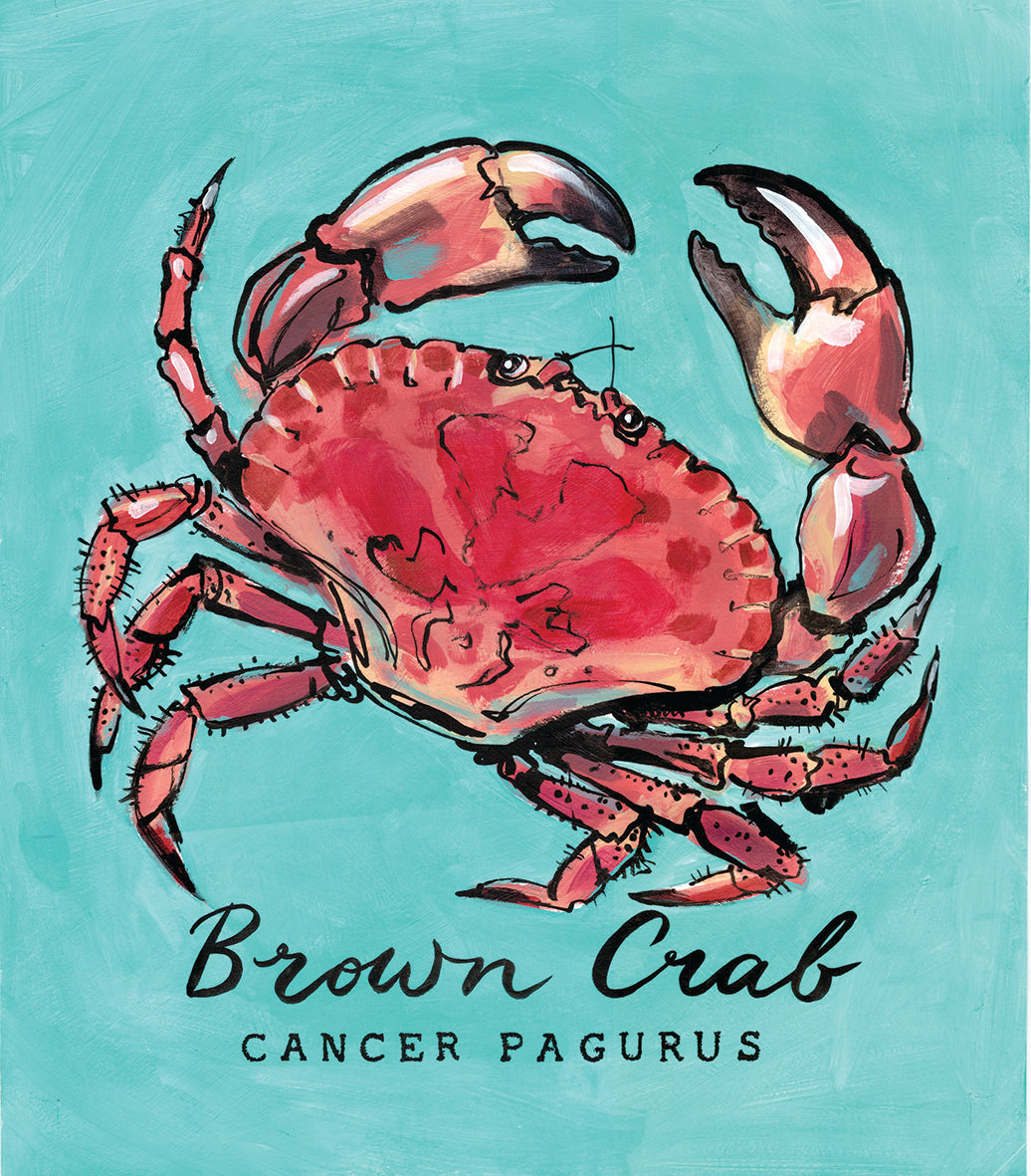 Brown Crab Promenade Flag - Cornish Sea Life Series - Giclée Print