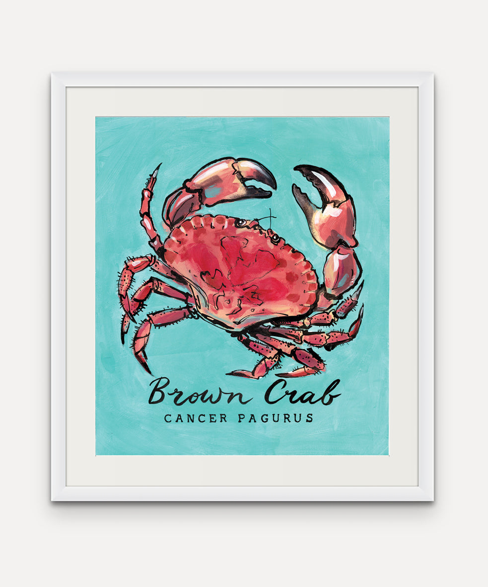 Brown Crab Promenade Flag - Cornish Sea Life Series - Giclée Print