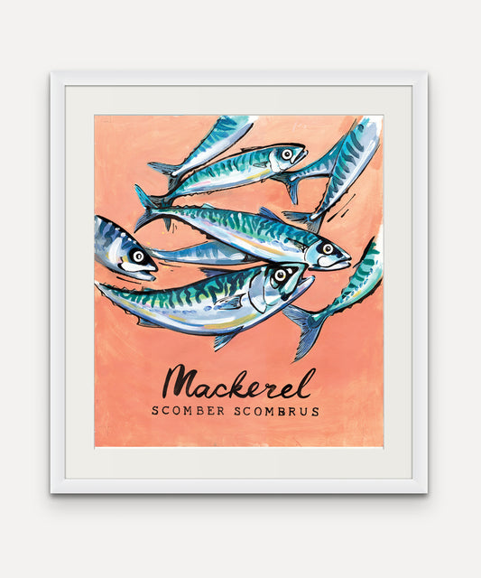 Mackerel Promenade Flag - Cornish Sea Life Series -  Giclée Print