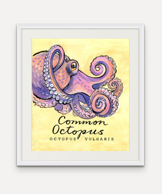Common Octopus Promenade Flag - Cornish Sea Life Series -  Giclée Print