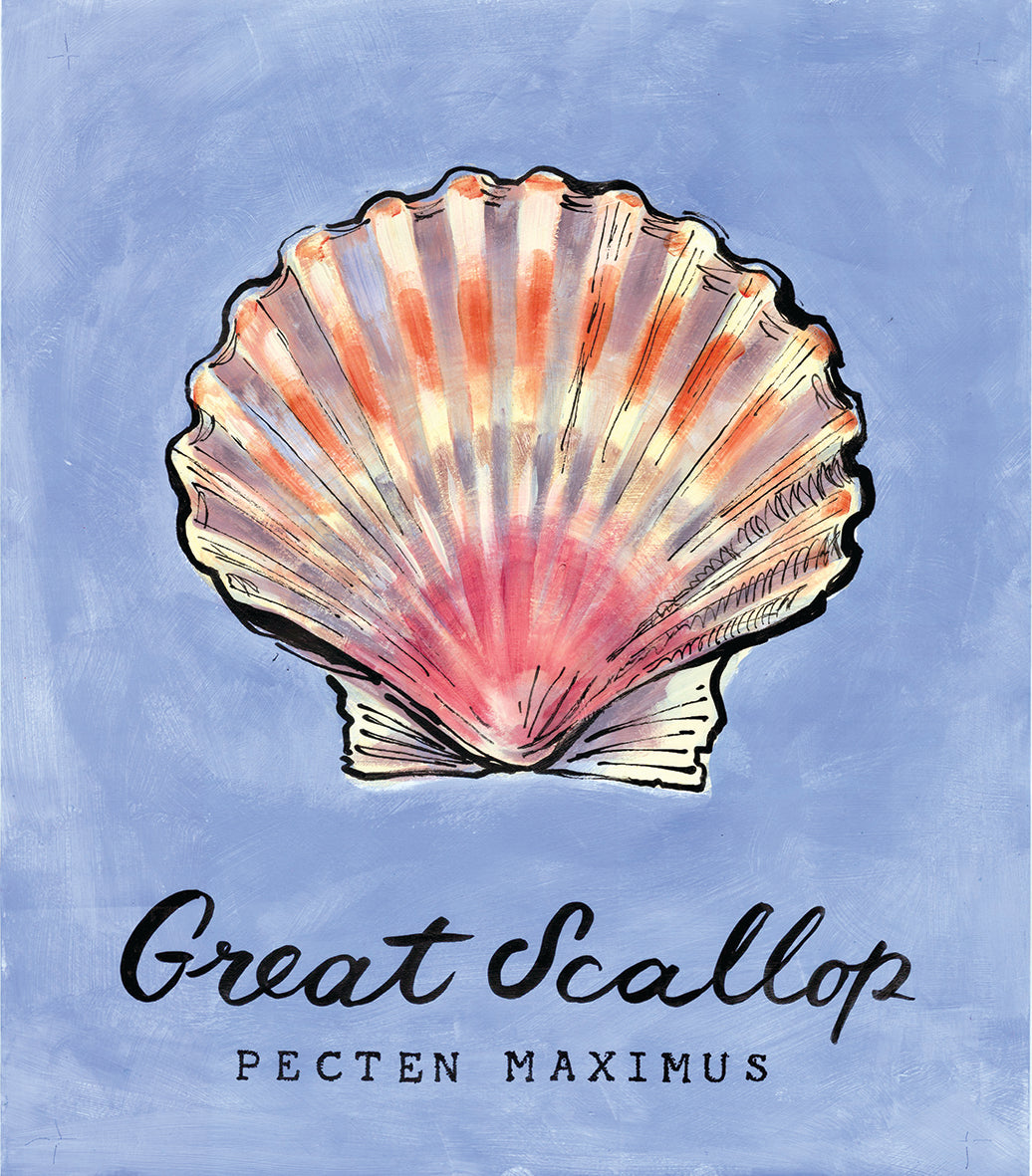 Cornish Sea Life Coaster (18 designs)