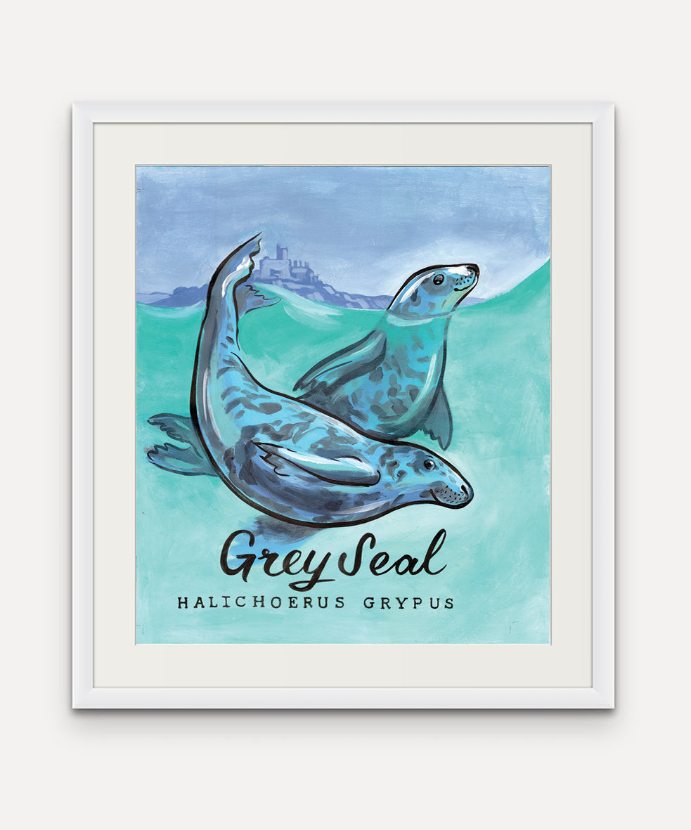 Grey Seal Promenade Flag - Mounts Bay Sea Life Series - Giclée Print