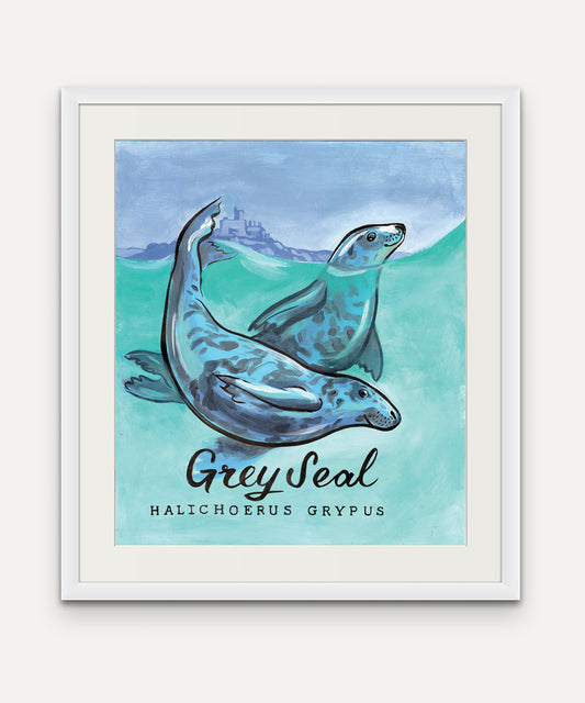 Grey Seal Promenade Flag - Mounts Bay Sea Life Series - Giclée Print
