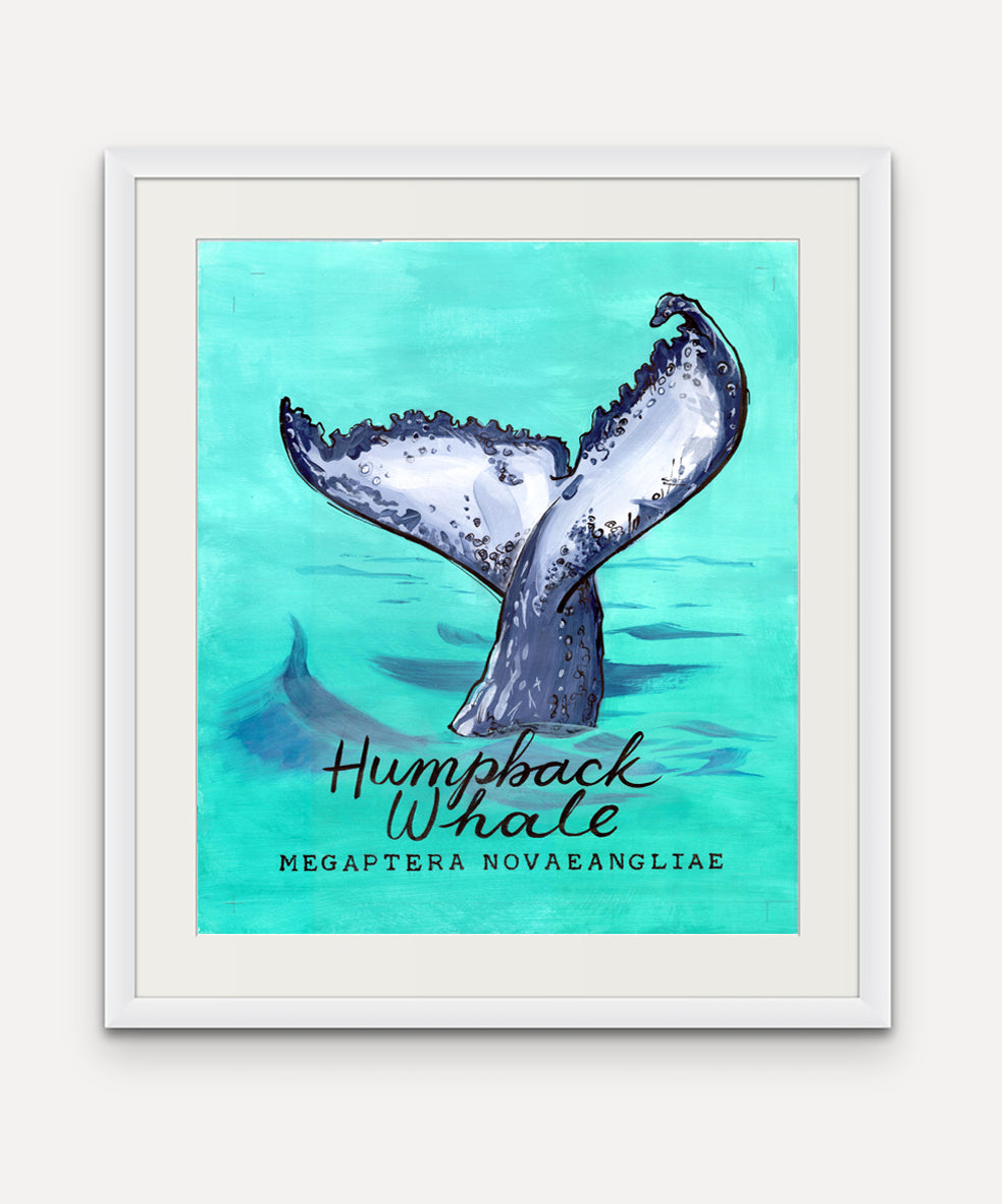 Humpback Whale Promenade Flag - Cornish Sea Life series - Giclée Print