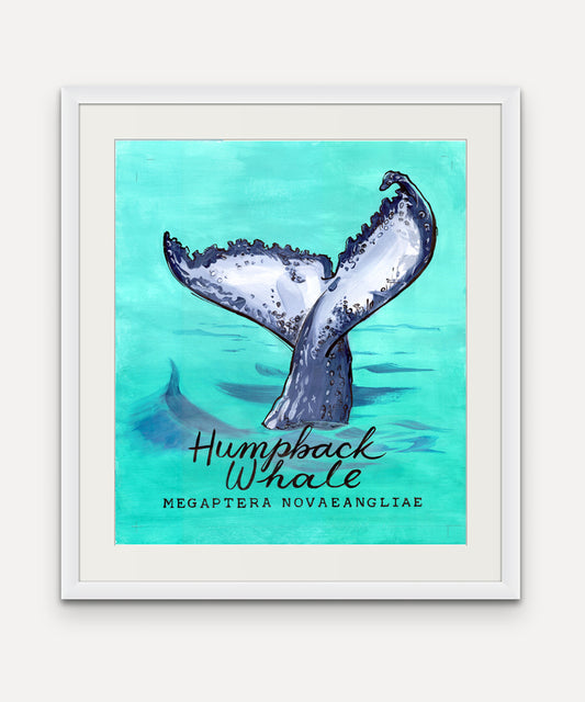 Humpback Whale Promenade Flag - Cornish Sea Life series -  Giclée Print