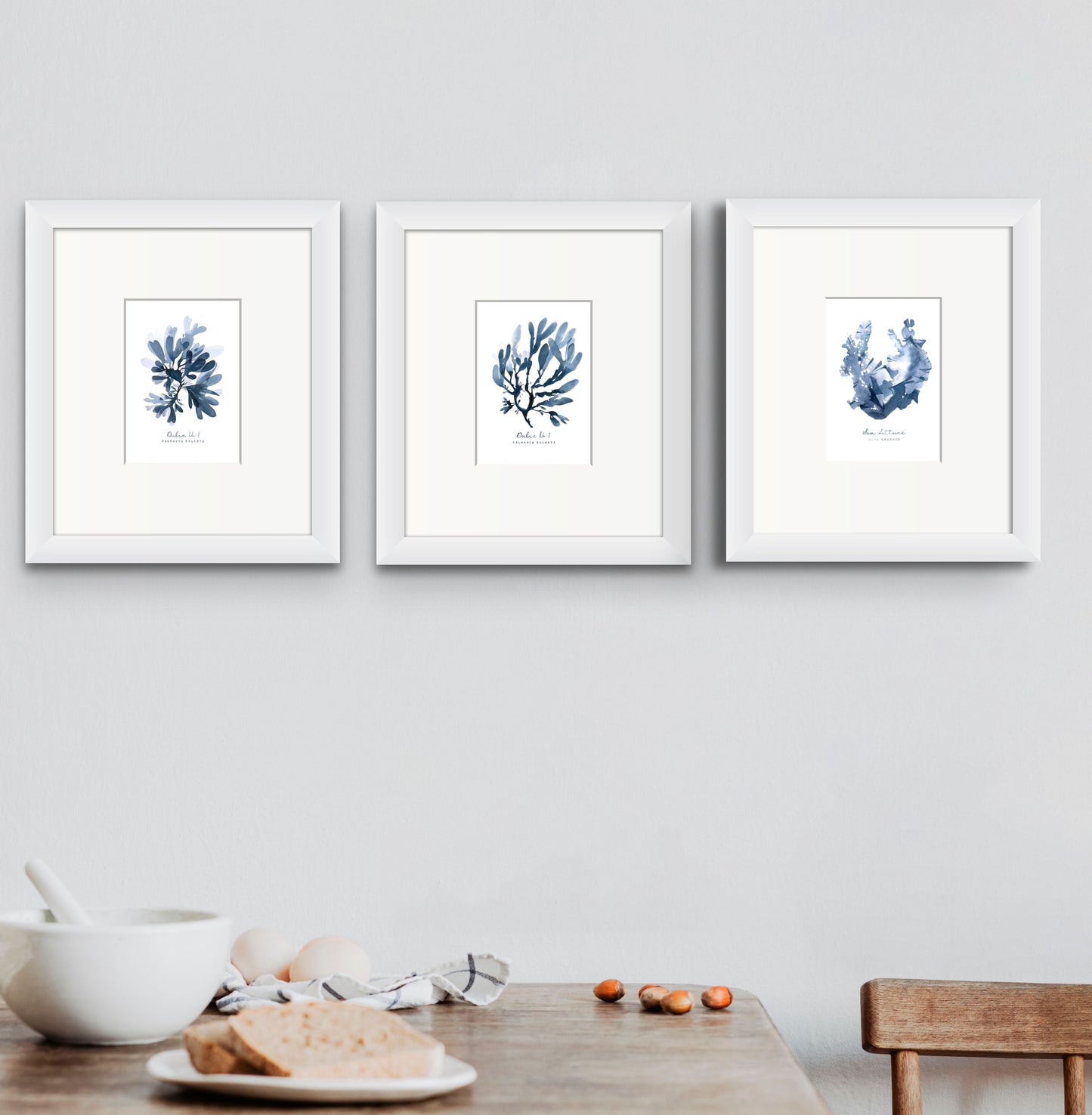 Sea Lettuce (Ulva Lactuca) Seaweed series by Sarah Bell
