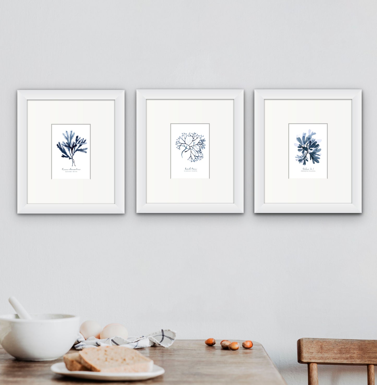 Dulse No 1 Seaweed series by Sarah Bell