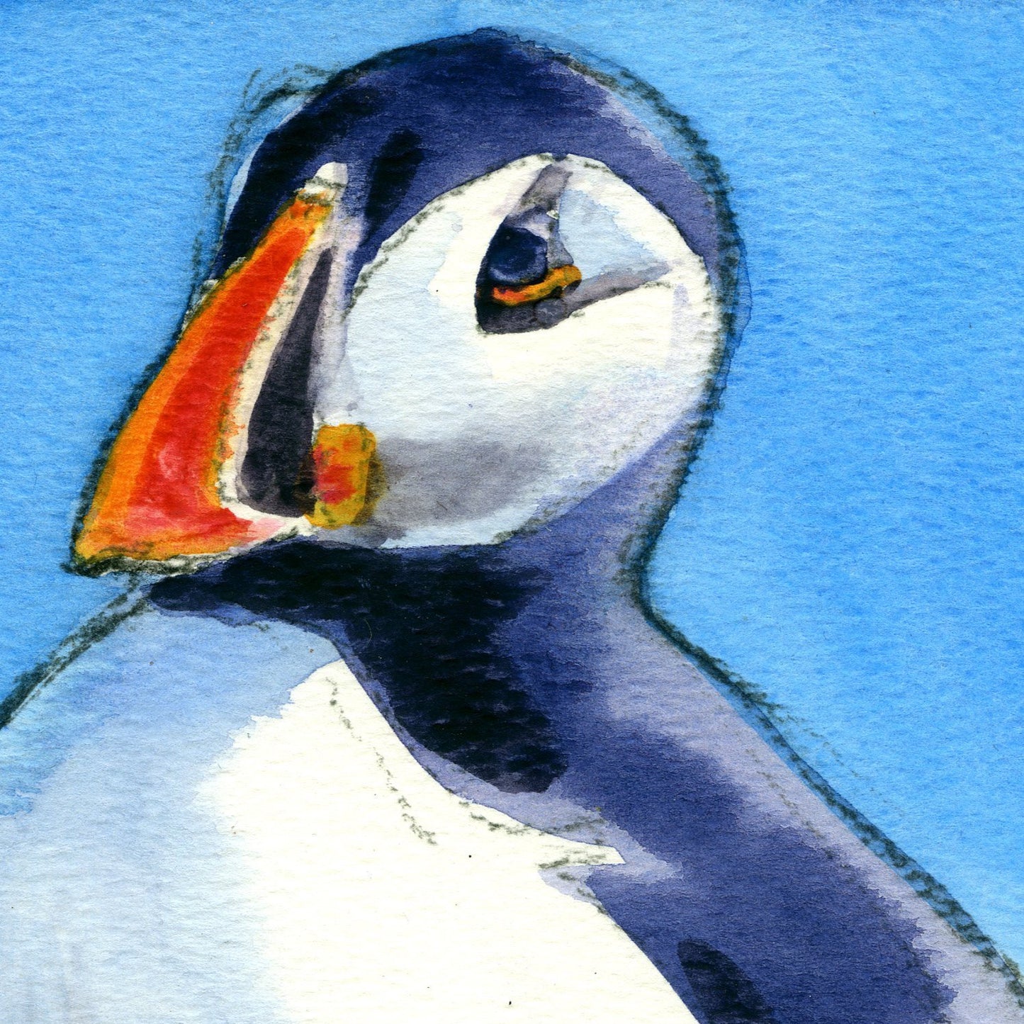 "Puffin III" Print