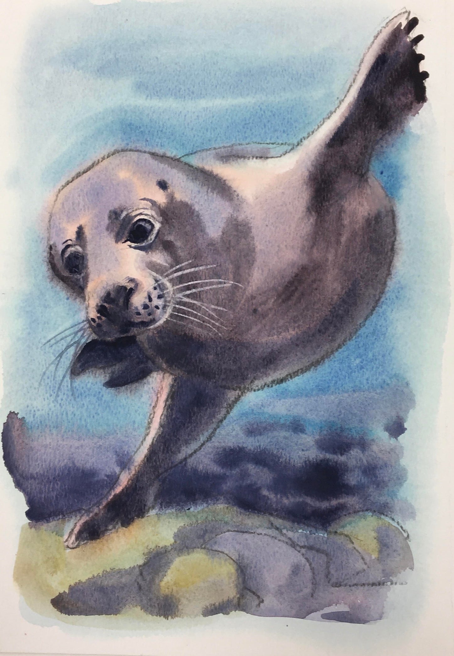 "Wild Swimmer'Andrea" Print