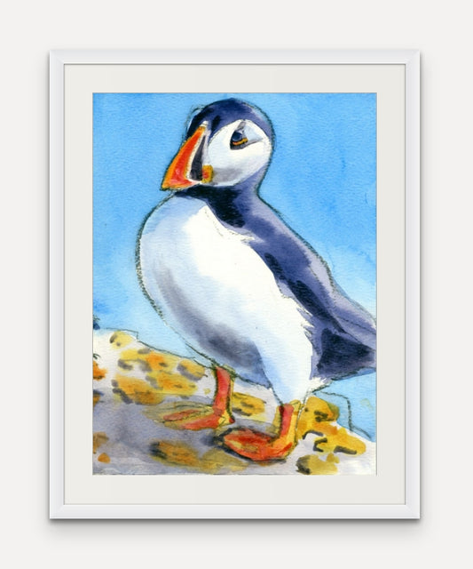 Puffin - Giclée Watercolour Print