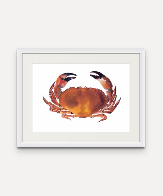 Newlyn Crab Small - Giclée Watercolour Print