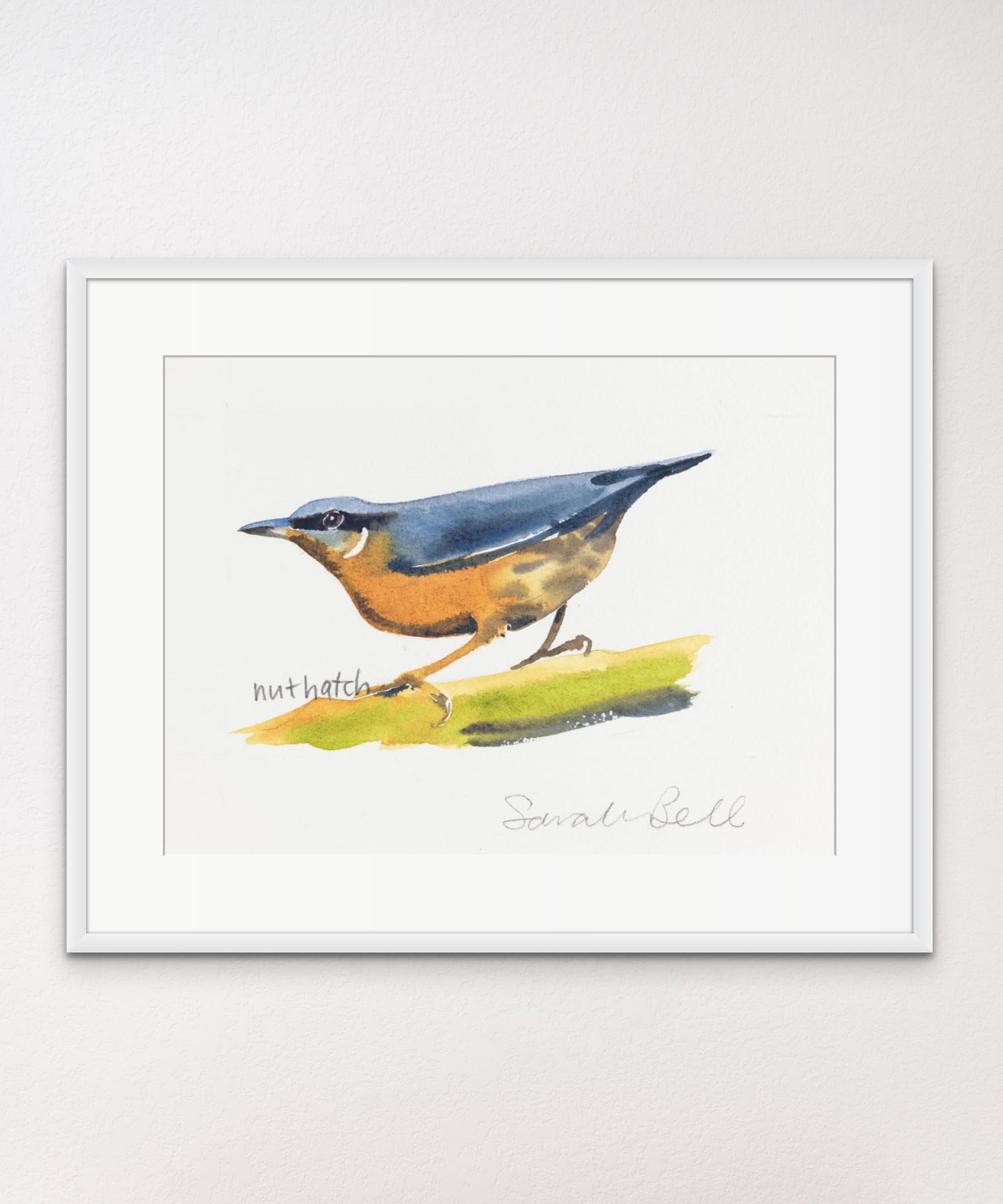 Nuthatch - Giclée Watercolour Print