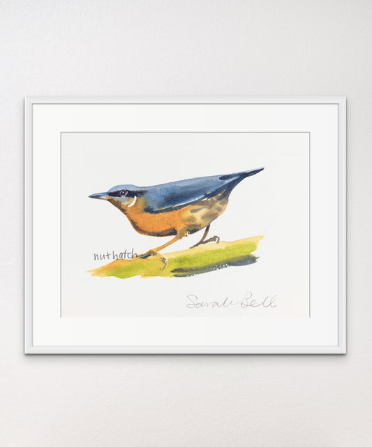 Nuthatch - Giclée Watercolour Print