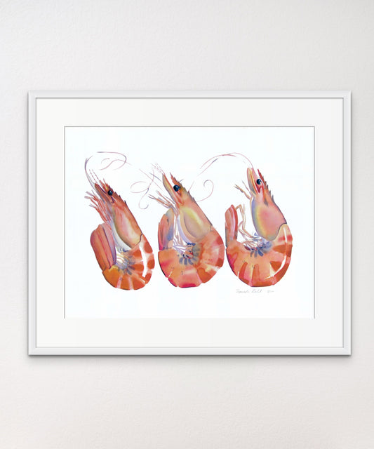 Prawns - Giclée Watercolour Print