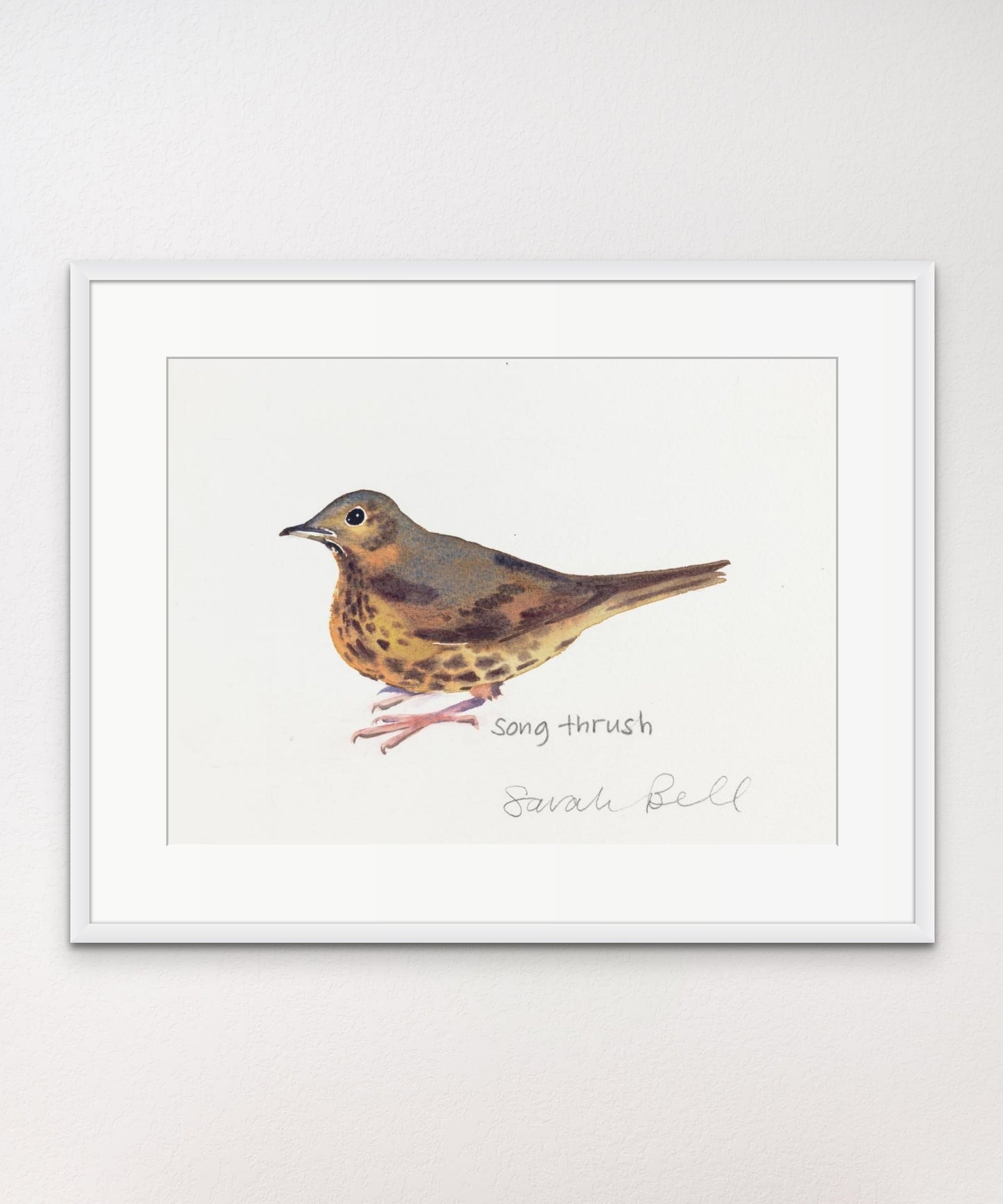 Song Thrush - Giclée Watercolour Print
