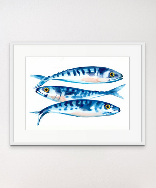 Mackerel - Giclée Watercolour Print