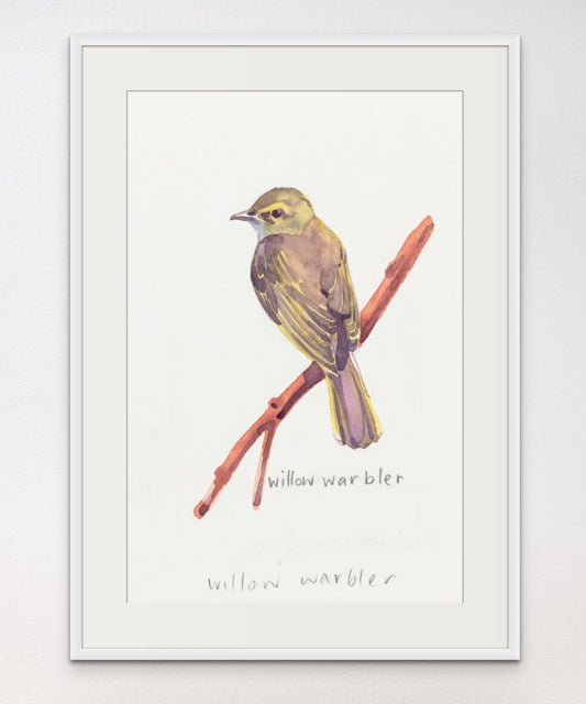 Willow Warbler - Giclée Watercolour Print