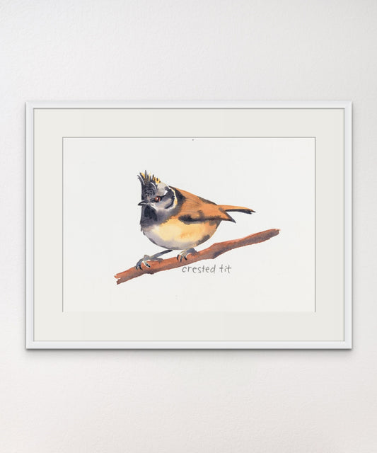 Crested Tit - Giclée Watercolour Print