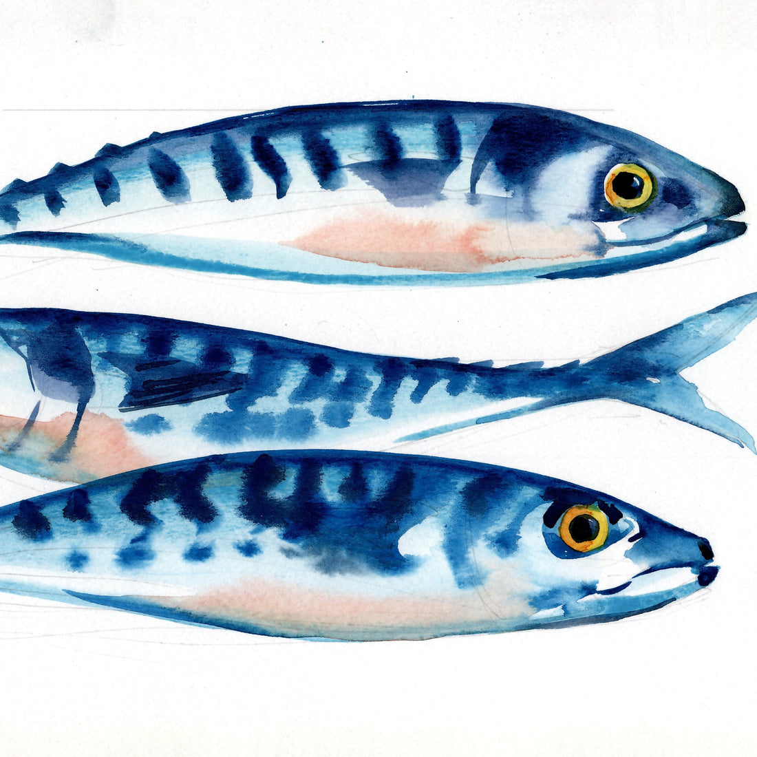 Mousehole Cornwall art: gallery and print-buying guide