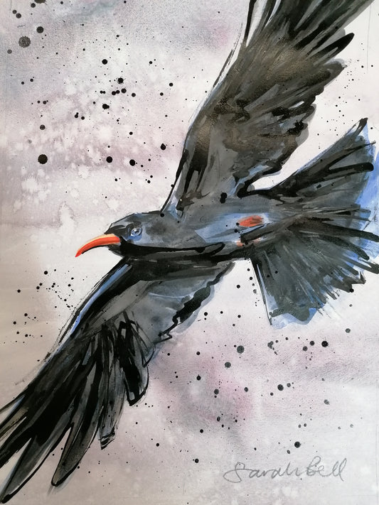 Cape Cornwall Chough - Artist Sarah Bell - Giclée Watercolour Print (Copy)