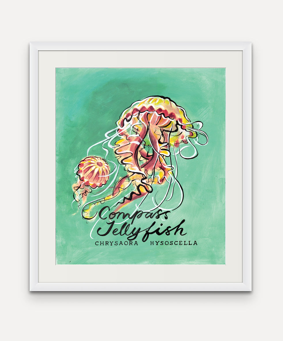 Jellyfish Promenade Flag - Cornish Sea Life series -  Giclée Print