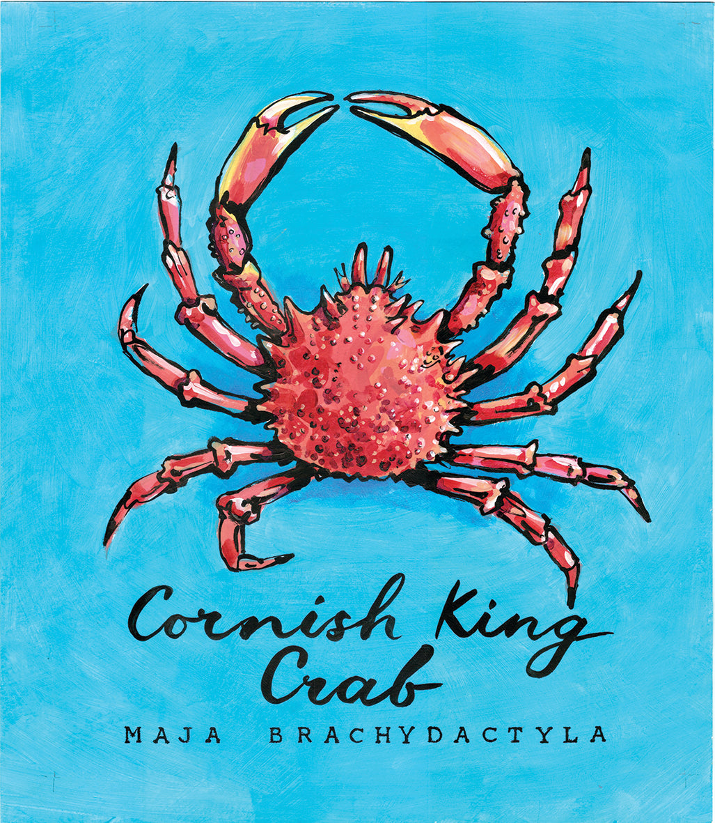 Cornish Sea Life Coaster (18 designs)