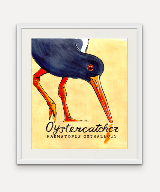 Oystercatcher Promenade Flag - Cornish Sea Life Series -  Giclée Print