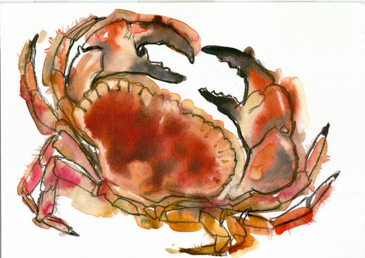 "Newlyn Crab 1" Signed Giclee Print