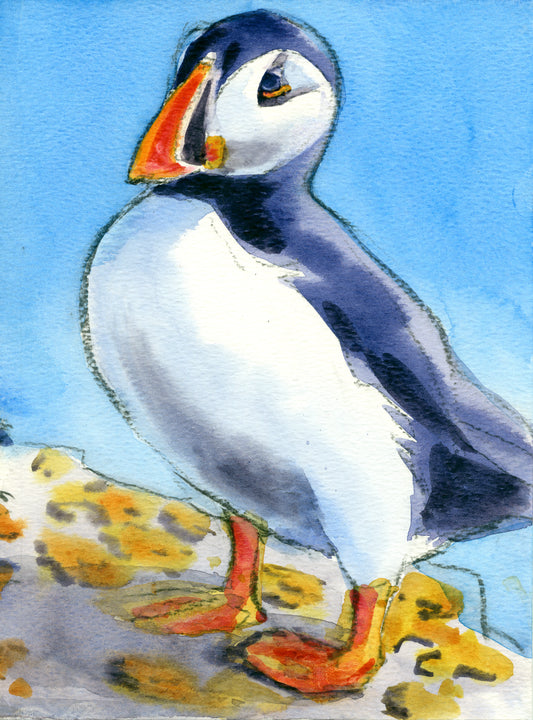 "Puffin III" Print