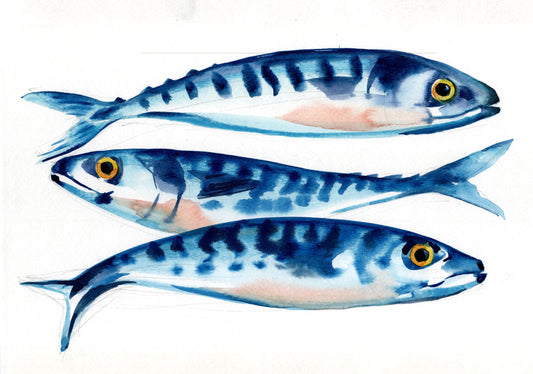 "Three Mackerel" Print