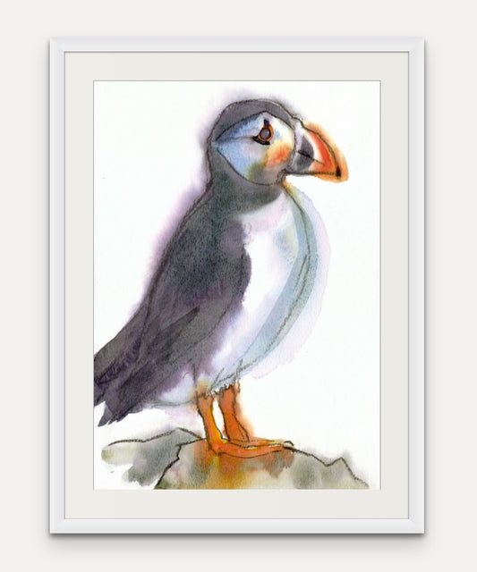 Puffin Sketch - Giclée Watercolour Print