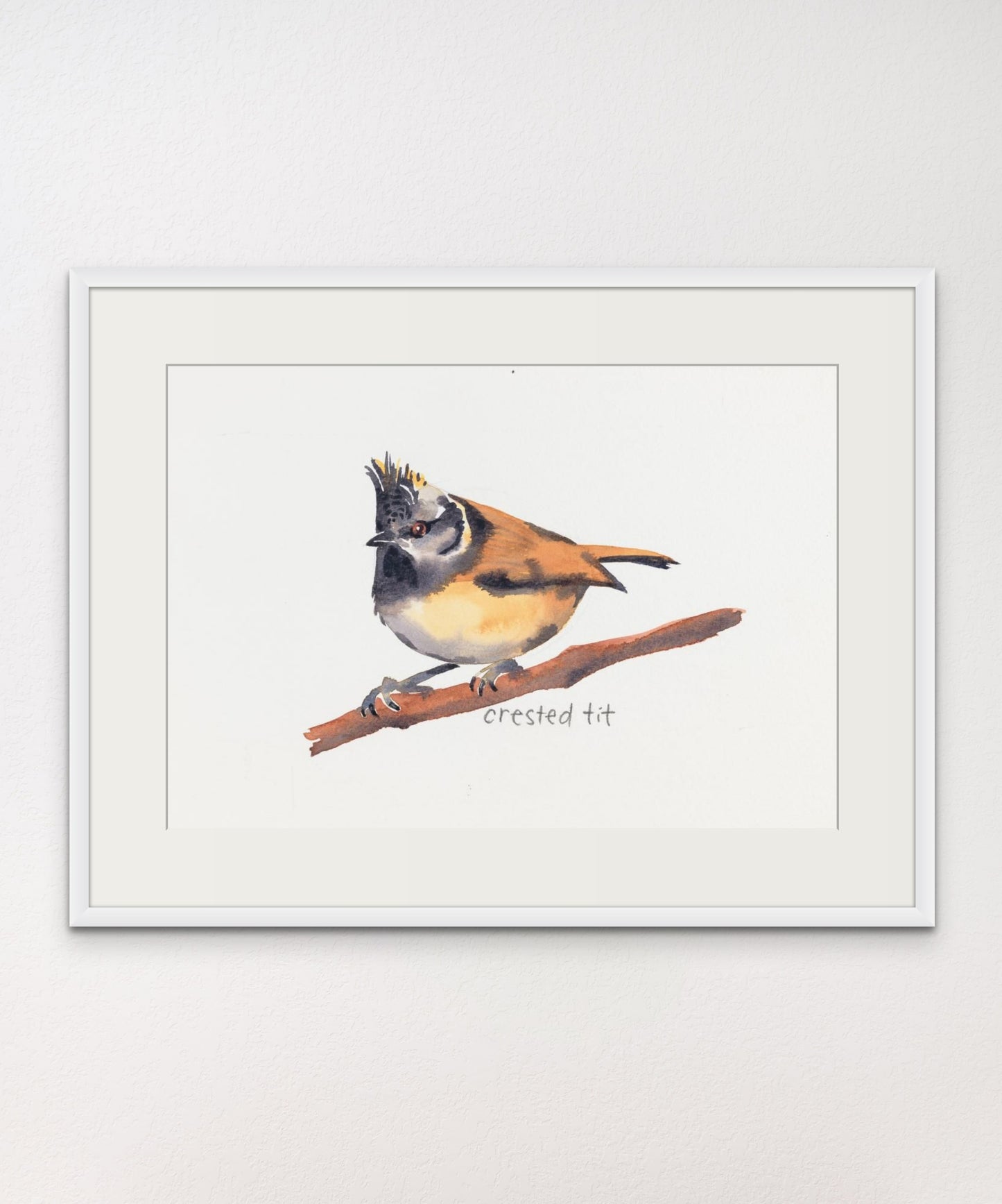 Crested Tit - Giclée Watercolour Print